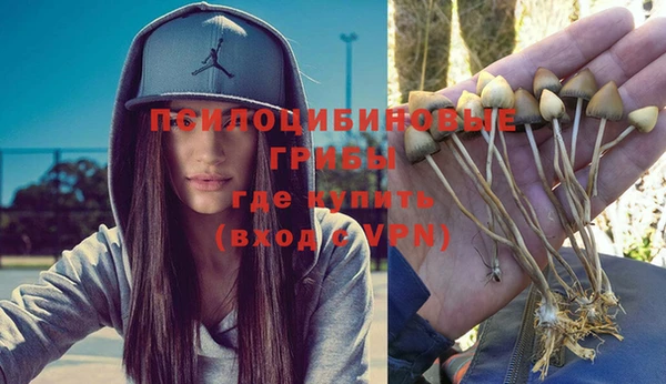 тгк Горняк
