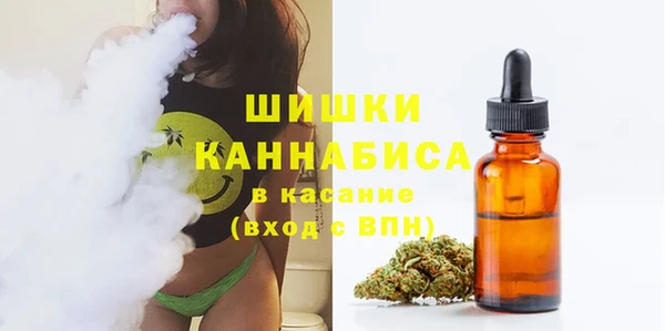 тгк Горняк