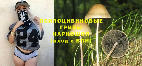 a pvp Горно-Алтайск