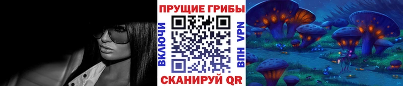 Галлюциногенные грибы мицелий  Купить где  Славск 